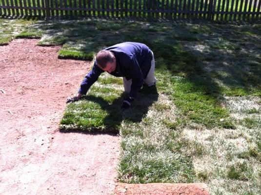 Laying new sod down