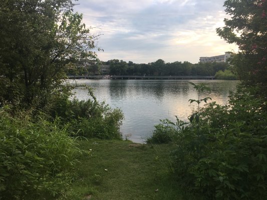 Lady Bird Lake