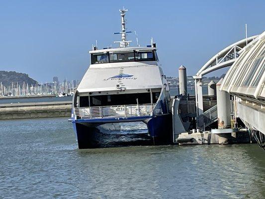 There she is ... we watched her dock- OK- our family loved ferries , we have traveled in them often. But this one? Never! Looks like FUN!