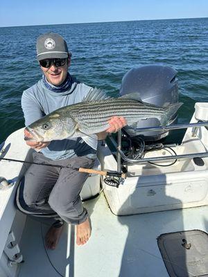 Nice Flyrod Striper