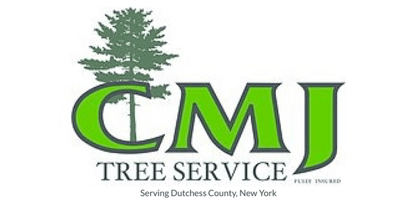 CMJ Tree Service