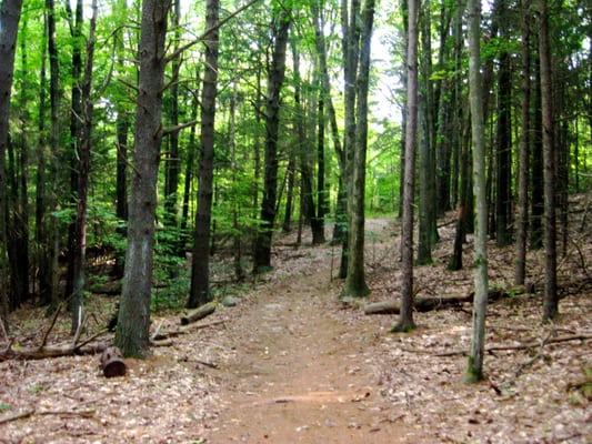 Hiking trail.