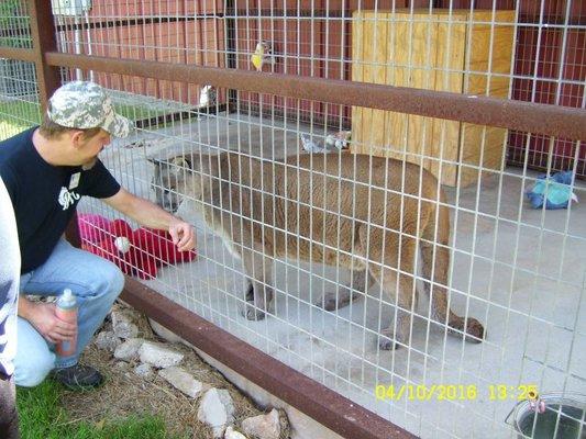 This was our guide (Derek) along with a mountain lion.