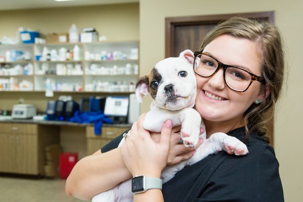 Hancock Veterinary Services of Bella Vista