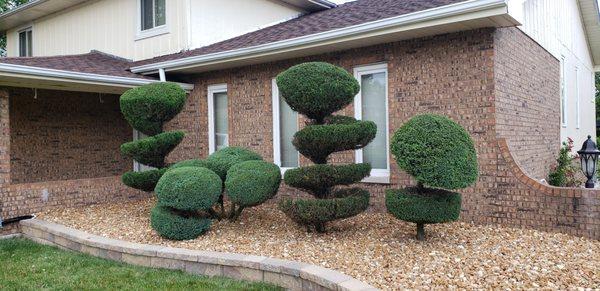 Bushes trimming service