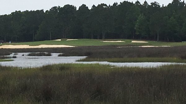 The golf course meanders thru the pine savannas and the marshes of the Mississippi Gulf Coast.