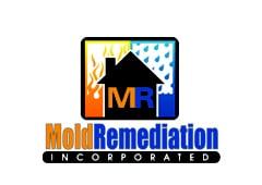 Mold Remediation