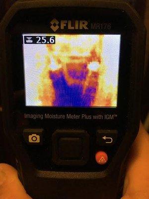 Thermal imaging will show hidden areas of water and mold damage