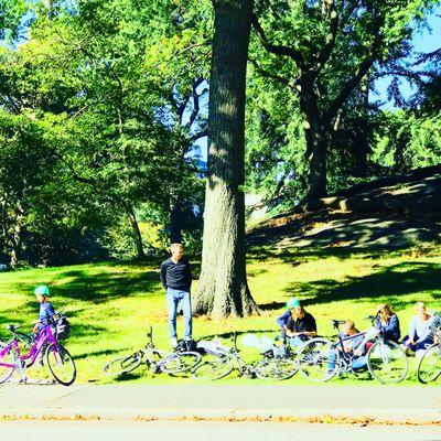 Central Park Tours & Bike Rentals https://goo.gl/posts/CTsCT