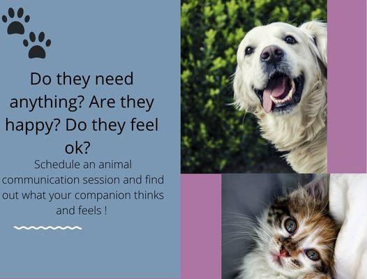 Animal Communication Sessions available!