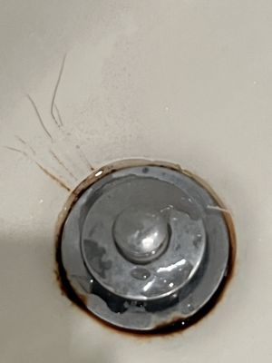 Shower drain