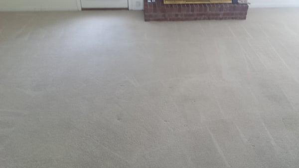 Carpet Cleaning Anniston AL Jacksonville Weaver