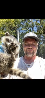 Baby Raccoon Safely removed from crawlspace.