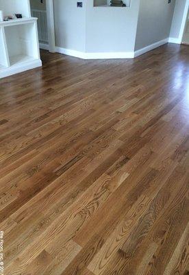 Hardwood Refinishing