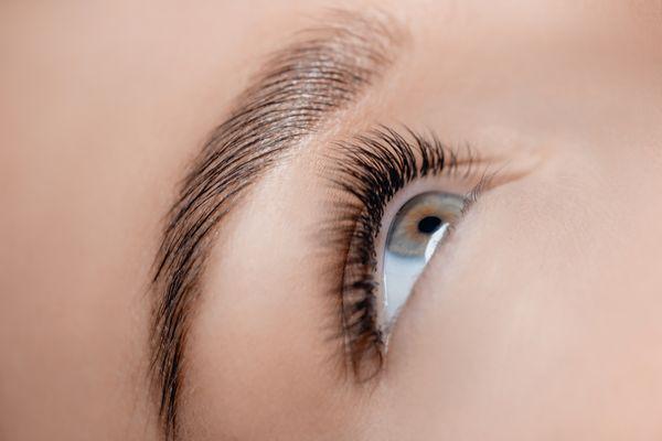 Enhancing your eyebrows with enthusiasm and professionalism