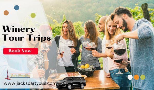 Winery Tours