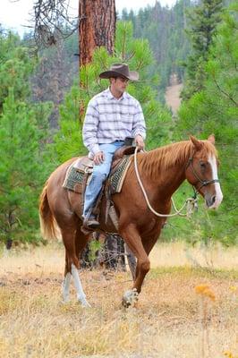 Training a Green Horse