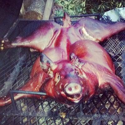 Roasted Beeler Pig! Amazing!