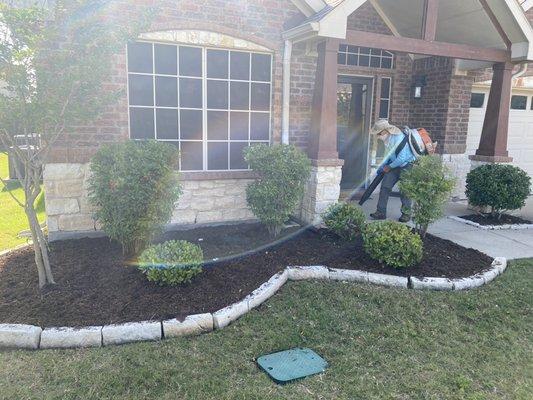 Trimming + added mulch