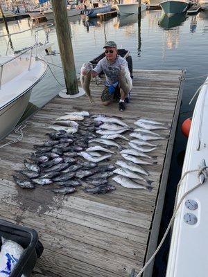 Tilefish and sea bass