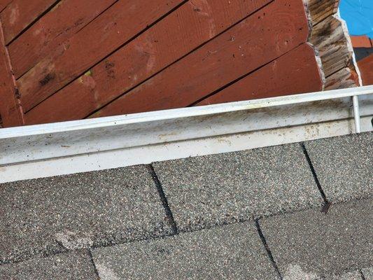 Gutter cleaning Alabama pressure washing kings