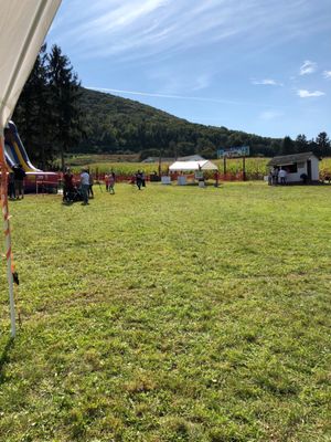 Corn maze and zip lines