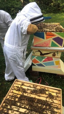 Busy Beekeepers & Bees