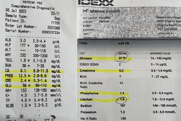 Look at the glucose levels. Not possible to bounce back in the short a period not to mention be alive.