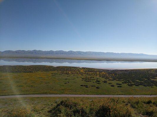 Checking out the superbloom and beautiful lake