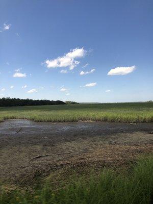 Baruch Institute of Coastal Ecology & Frst Science