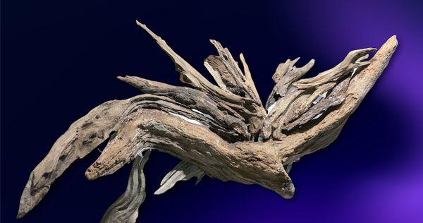 Driftwood Eagle