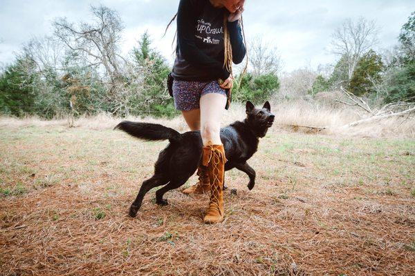 Jojo weaving through Megan's legs for a tennis ball