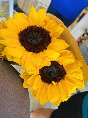 Beautiful sunflowers