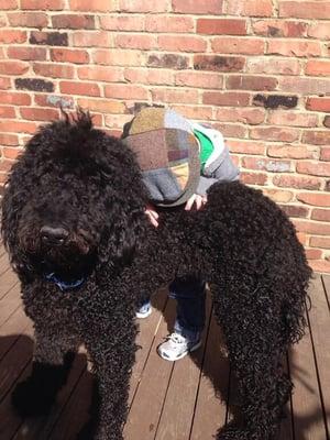 Shane meets his service dog for the first time...let the magic begin!