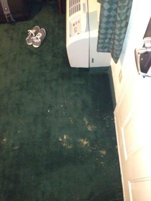 Stains on the carpet