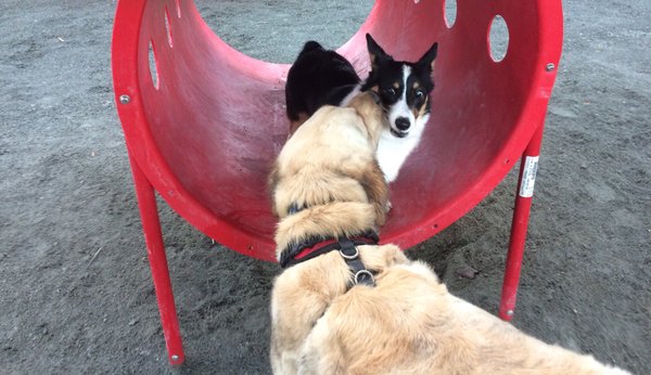 Piper at playgroup with Daisy Cares :)