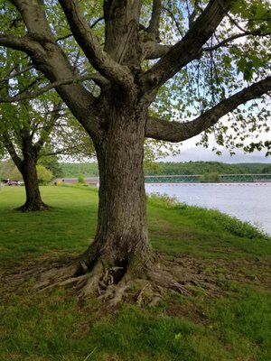 Unity park,  a large grassy area here and there's a huge playground across the parking lot