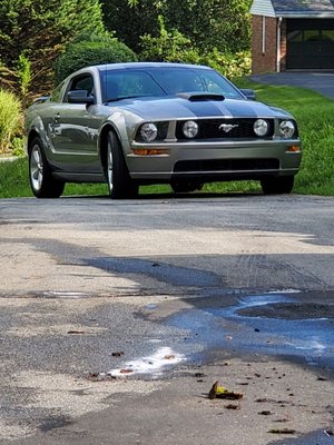 New stripes on an 09 Mustang