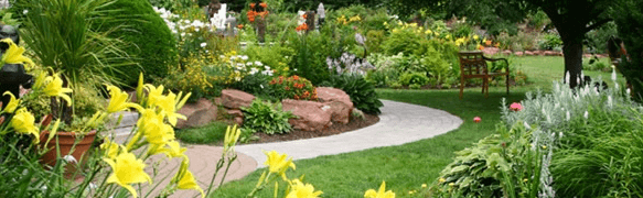 Valley Landscape Management