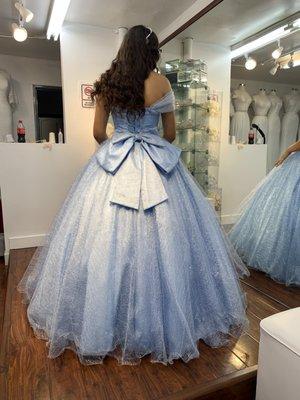 Quinceañera/Sweet 16 Dress