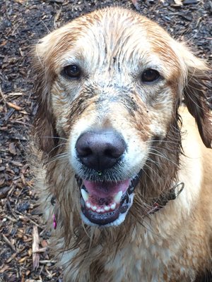 Like my mud facial?