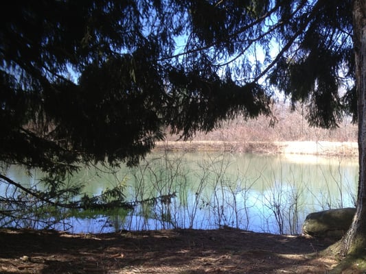 Scenic stop st the pond off the Red trail