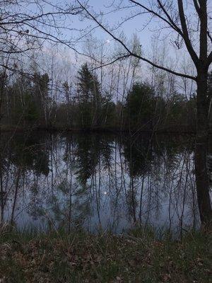 Amazing full moon over the little pond