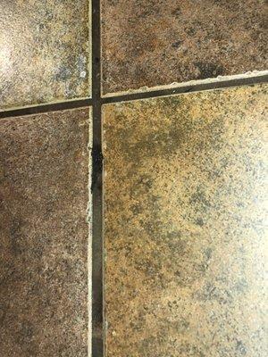 Dirt on tile and in kitchen counter grout