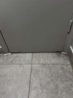 The grungy door in the bathroom. Wood and paint chipping off and the dirty floor.