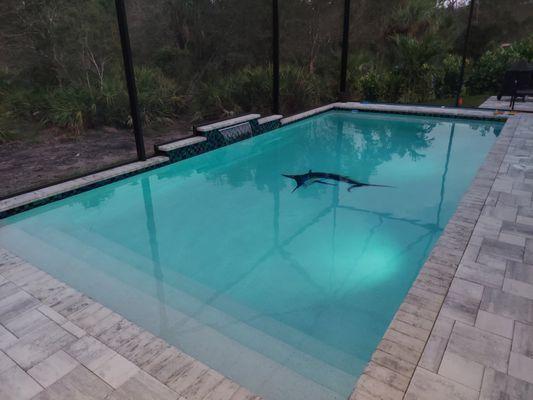 14 x 30 lighted pool with a swordfish mosaic and 3 ft waterfall. 26 x 50 screen enclosure