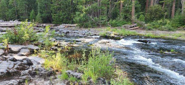 Rogue River running along campsites