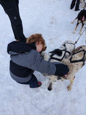 The dogs are so friendly, sweet, and tolerant. And really enjoyed a gentle hug after the ride.