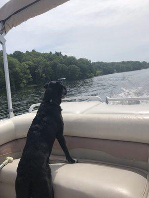 Officially a lake dog!