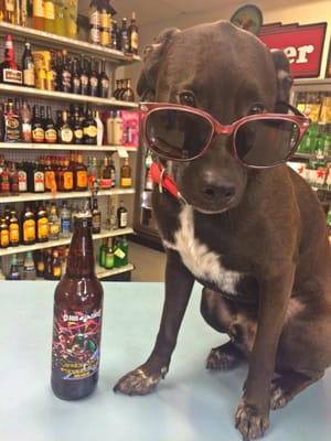 Silva's mascot, Nuggs, says "it's beer weather".